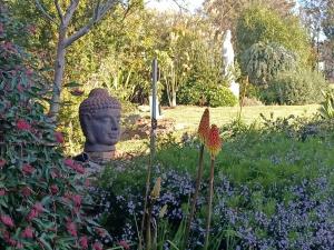 Balmoral new landscaping 6