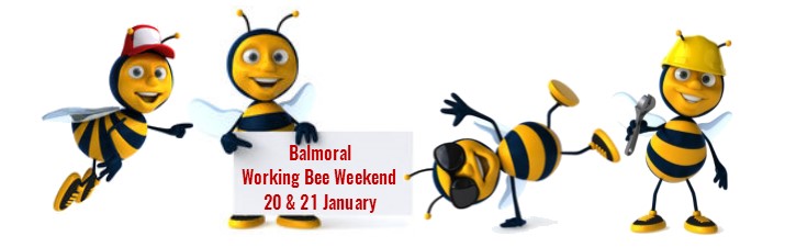 Balmoral Working Bee Weekend – 20/21 January, 2018.