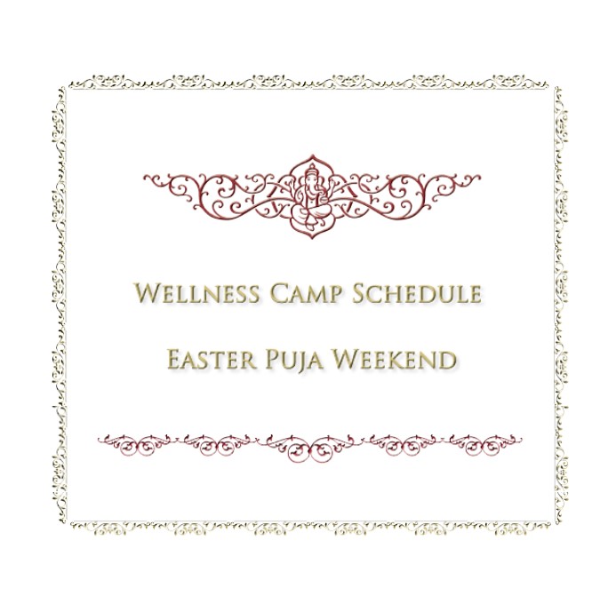 Daily Programs for Wellness Camp and Easter Weekend