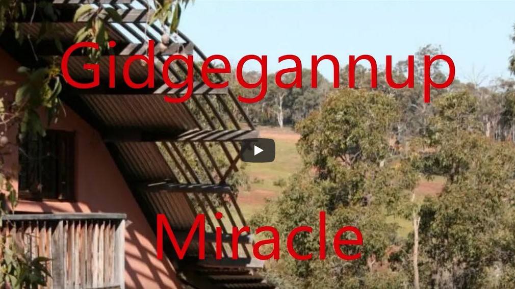 Gidgegannup Miracle: The Grace of HH Shri Mataji Nirmala Devi